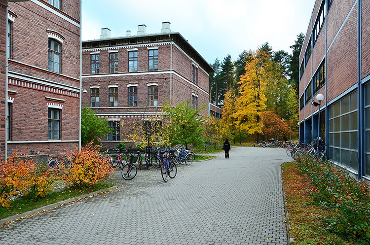 Old Seminaarinmäki — Jyväskylä University Museum